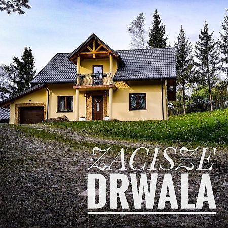 Гостьовий будинок Zacisze Drwala Літовищі Екстер'єр фото